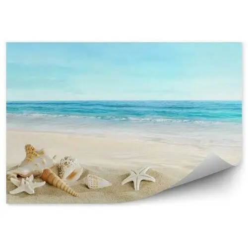 Krajobraz z muszli na tropikalnej plaży fototapeta krajobraz z muszli na tropikalnej plaży 250x250cm fizelina Fototapety.pl