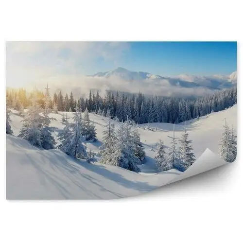 Panorama gór zimowy krajobraz Fototapeta Panorama gór zimowy krajobraz 250x250cm MagicStick