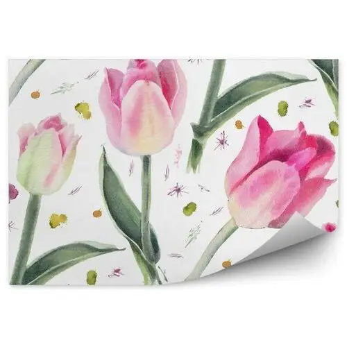 Różowe tulipany obraz Fototapeta na ścianę Różowe tulipany obraz 250x250cm MagicStick