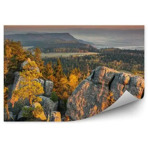 Fototapety.pl Sudety widok z góry lasy krajobraz fototapeta sudety widok z góry lasy krajobraz 250x250cm fizelina