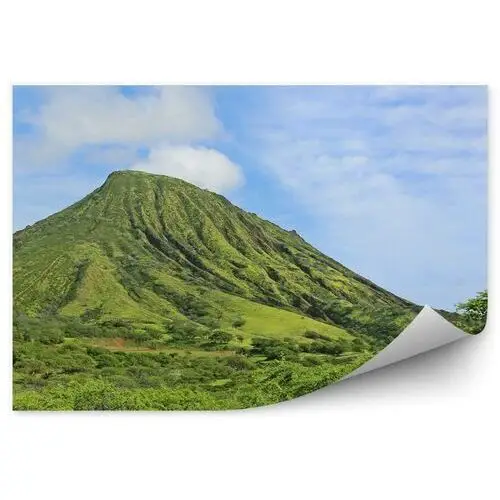 Zielony krajobraz góry rośliny Oahu wyspa Hawaje Fototapeta na ścianę zielony krajobraz góry rośliny Oahu wyspa Hawaje 250x250cm Fizelina