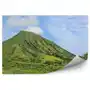 Zielony krajobraz góry rośliny Oahu wyspa Hawaje Fototapeta na ścianę zielony krajobraz góry rośliny Oahu wyspa Hawaje 250x250cm MagicStick Sklep on-line