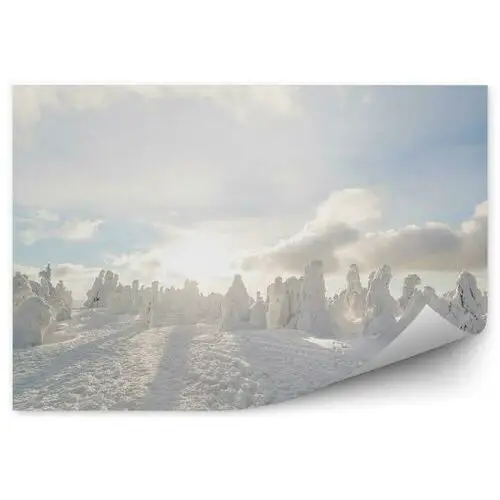 Zima kopuły śniegu zaspy biały krajobraz Fototapeta Zima kopuły śniegu zaspy biały krajobraz 250x250cm Fizelina
