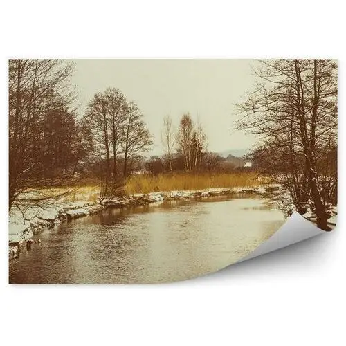 Zimowy krajobraz jezioro drzewa fototapeta zimowy krajobraz jezioro drzewa 250x250cm fizelina Fototapety.pl