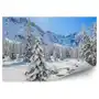 Zimowy krajobraz las morskie oko Fototapeta Zimowy krajobraz las morskie oko 250x250cm MagicStick Sklep on-line