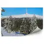 Zimowy las śnieg góra sudety krajobraz fototapeta zimowy las śnieg góra sudety krajobraz 250x250cm fizelina Fototapety.pl Sklep on-line