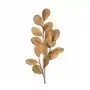 Gałązka z beżowymi liśćmi - sztuczny kwiat dekoracyjny z pianki foamirian 100 cm beżowy Sklep on-line