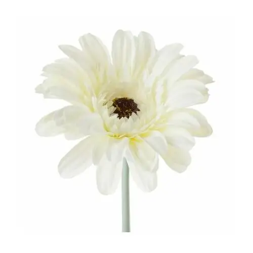 GERBARA sztuczny kwiat dekoracyjny o płatkach z jedwabistej tkaniny ∅ 12 x 55 cm biały