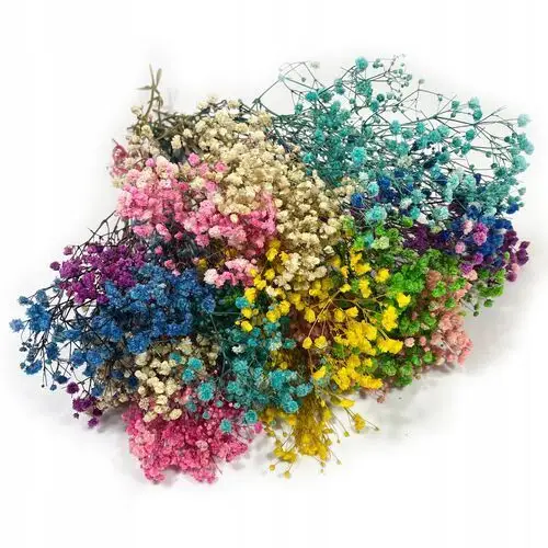 Gipsówka stabilizowana suszona mix kolorów bukiet kwiatów do wazonu