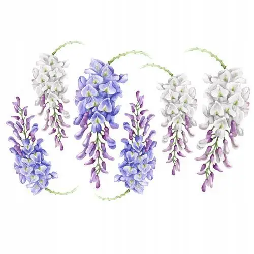 Glicynia, Wisteria, Kwiaty, Naklejki Na Ścianę XXL