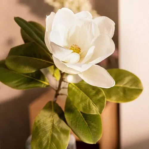 Kwiat sztuczny HIYA magnolia 70 cm