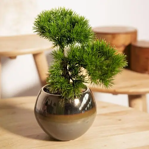 Roślina sztuczna semela bonsai 27 cm Homla