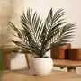 Roślina sztuczna SEMELA mini palma 30 cm Sklep on-line