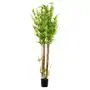Roślina sztuczna TROPICAL ZONE bambus 180 cm Sklep on-line