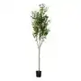 Homla Roślina sztuczna tropical zone drzewko oliwne 180 cm Sklep on-line