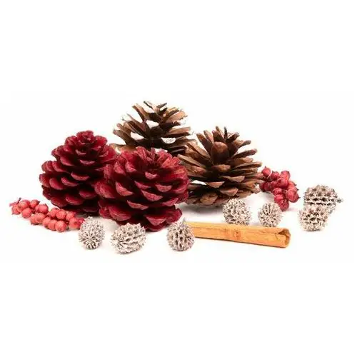 Susz dekoracyjny roque pine & cinnamon 18x12x7 cm Homla