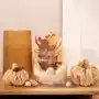 Homla Susz dekoracyjny roque z dyniami z włokna kokosowego 20x22 cm Sklep on-line
