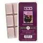 Bridgewater candle company scented wax bar wosk zapachowy do aromaterapii 73 g - kiss in the rain Inny producent Sklep on-line