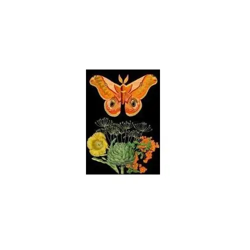 Karnet B6 z kopertą Pomarańczowa ćma