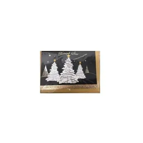 Karnet Boże Narodzenie B6 Premium 12 + koperta