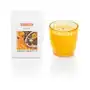 Świeca Zapachowa Amber Mandarin & Green Tea 220 g Sklep on-line