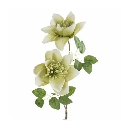 Kwiat sztuczny dekoracyjny z plastycznej pianki foamirian ∅ 20 x 70 cm jasnozielony,kremowy