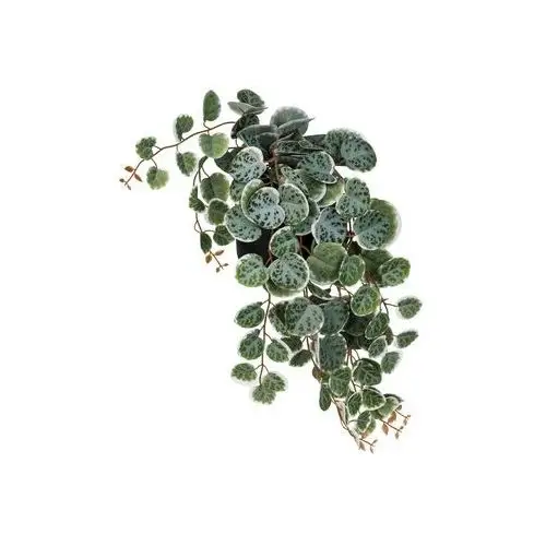 Sztuczna roślina kroton / peperomia / fikus pnący / paproć, 11 cm (Ø) (fikus pnący) Livarno home