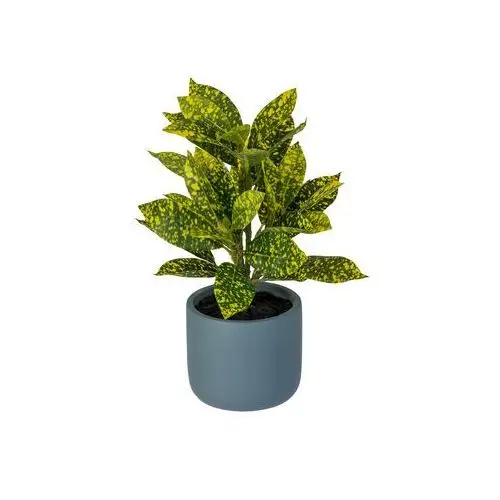 LIVARNO home Sztuczna roślina kroton / peperomia / fikus pnący / paproć, 11 cm (Ø) (Codiaeum)