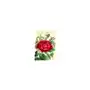Karnet b6 brokat z kopertą urodziny róża Madame treacle Sklep on-line