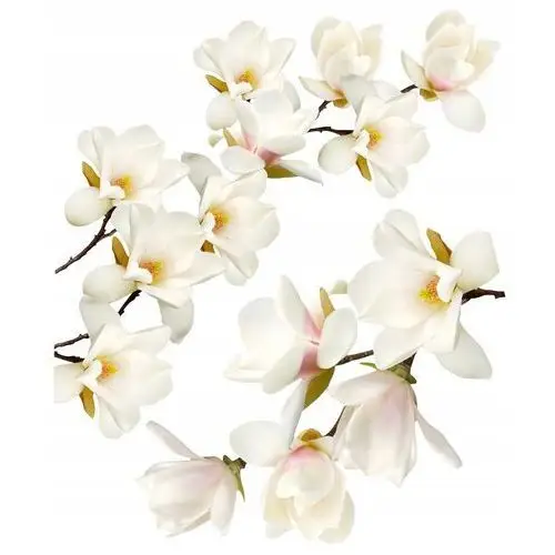 Magnolie białe kwiaty naklejki na ścianę 120x100cm