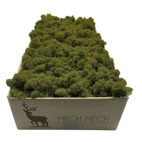 Mech Chrobotek Fiński 500g