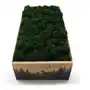 Mech chrobotek fiński 500g netto ciemny zielony Sklep on-line