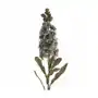 OSTRÓŻKA sztuczny kwiat dekoracyjny z płatkami z jedwabistej tkaniny 80 cm popielaty Sklep on-line