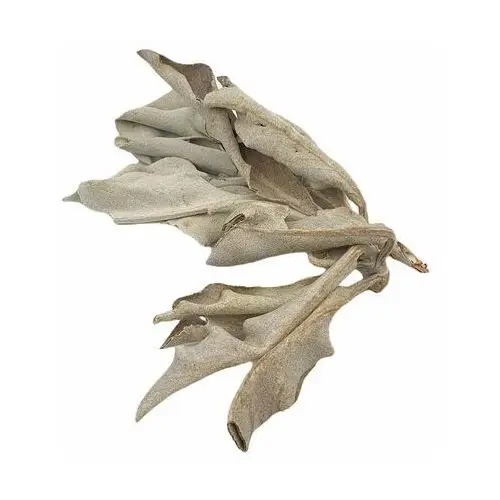 Palo santo Biała szałwia - naturalne kadzidło - 25g