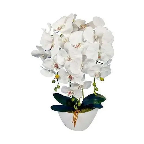 Pantofelek24 Biały storczyk orchidea- sztuczne kwiaty 60 cm 3pgbb