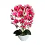 Pantofelek24 Kolorowy storczyk orchidea sztuczne kwiaty 60 cm 3pgrc Sklep on-line