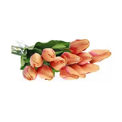Pantofelek24 Pomarańczowy tulipan jak żywy /kw438 k70 h2 k001