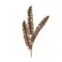 PAPROĆ - gałązka sztuczny kwiat dekoracyjny 81 cm brązowy Sklep on-line