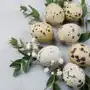 Paw decor collection Serwetki wielkanocne natural eggs 33 x 33 cm 20 szt Sklep on-line