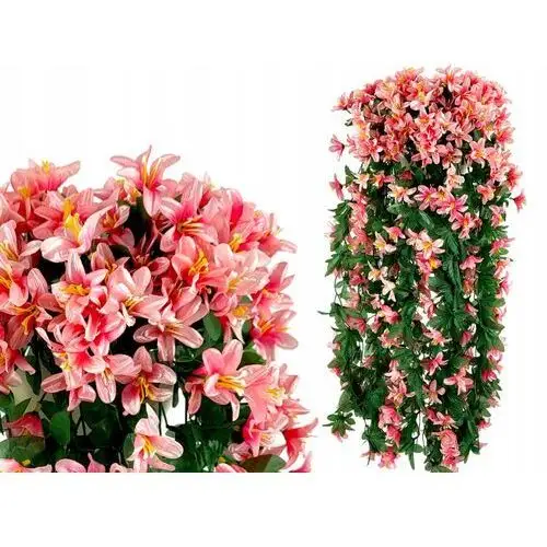 Pelargonie Pelargonia Surfinie Kwiaty na Balkon Girlanda Kwiatowa 4 szt