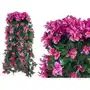 Pelargonie Pelargonia Surfinie Kwiaty na Balkon Girlanda Kwiatowa 4 szt Sklep on-line