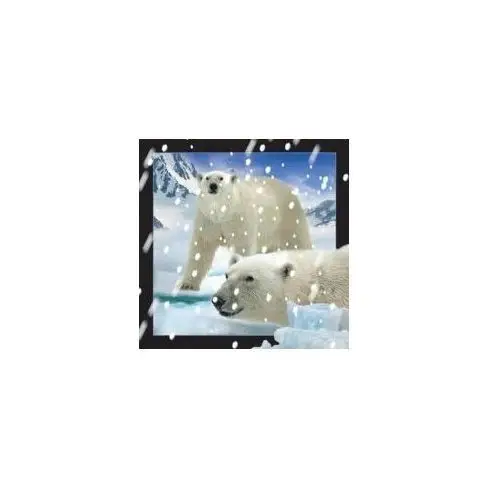 Pocztówka 3D Niedźwiedzie Polarne w śniegu