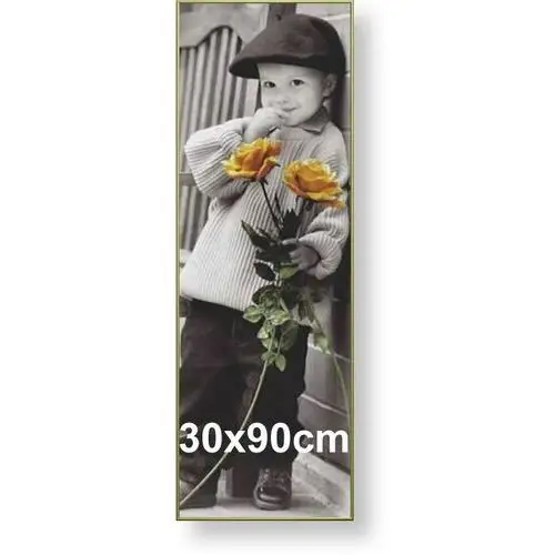 Rama aluminiowa do zdjęcia lub plakatu 30x90cm, złoty półmat