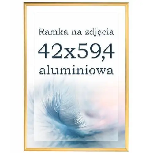 Ramka A2 aluminiowa złota ramki 42x59,4