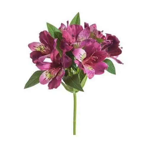 RODODENDRON sztuczny kwiat dekoracyjny o płatkach z jedwabistej tkaniny 48 cm amarantowy
