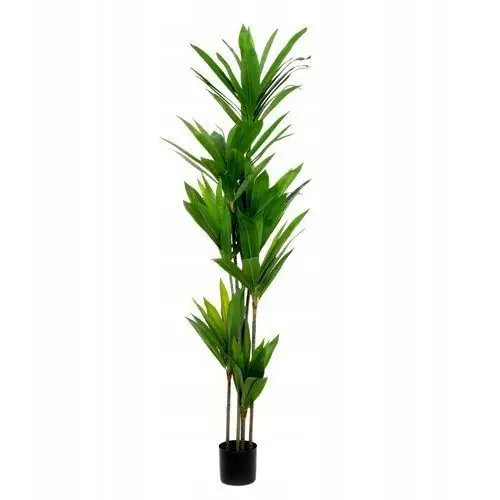 Roślina sztuczna Tropical Zone dracena 180 cm Homla