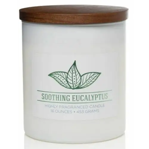 SELSEY Świeca sojowa zapachowa Colonial Candle Soothing Eucalyptus 453 g