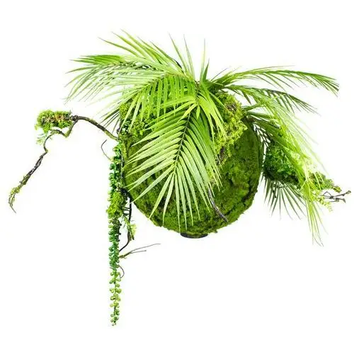 Selsey sztuczna roślina reinkles kokedama palma 35 cm