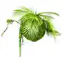 Selsey sztuczna roślina reinkles kokedama palma 35 cm Sklep on-line