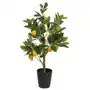 Sztuczny kwiat ilmur drzewko cytrynowe 70 cm Selsey Sklep on-line